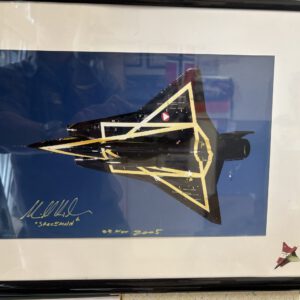 Echtfoto Draken